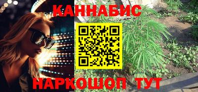 не бодяженный Гай