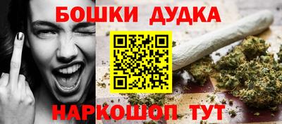 не бодяженный Гай
