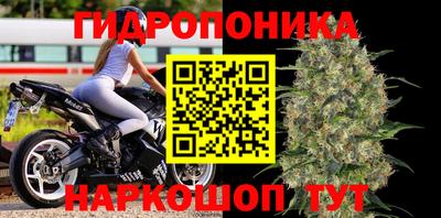 метамфетамин Гатчина